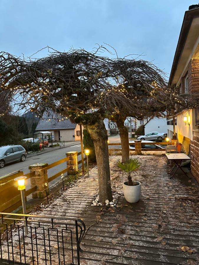 Au Wachtfels Obersteinbach Exterior foto
